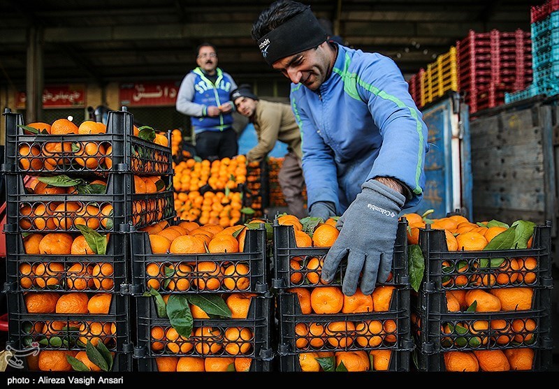 وزارت جهادکشاورزی مسئول تنظیم بازار شب عید شد